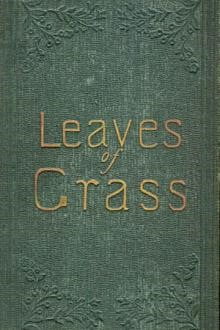 8364758YB Leaves of Grass