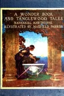 623826YB A Wonder Book and Tanglewood Tales