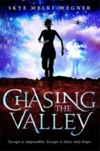 Chasing The Valley