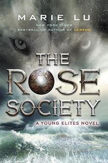 7253277YB The Rose Society