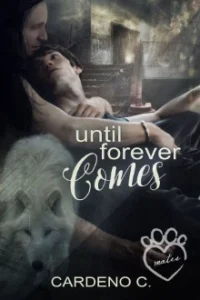 Until Forever Comes