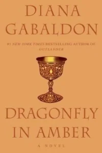Dragonfly in Amber